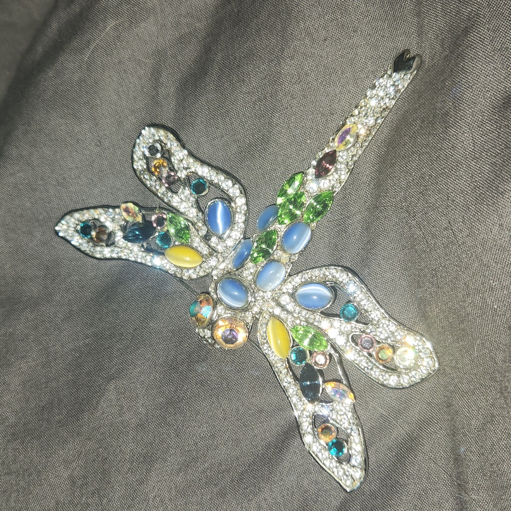 Beautiful Dragonfly Brooch
